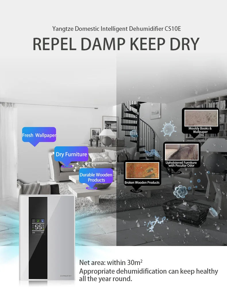 Dehumidifier and Air Purifier 2 in 1 Moisture Absorber Household Mute Bedroom Basement Remote Control Timing External Water Pipe