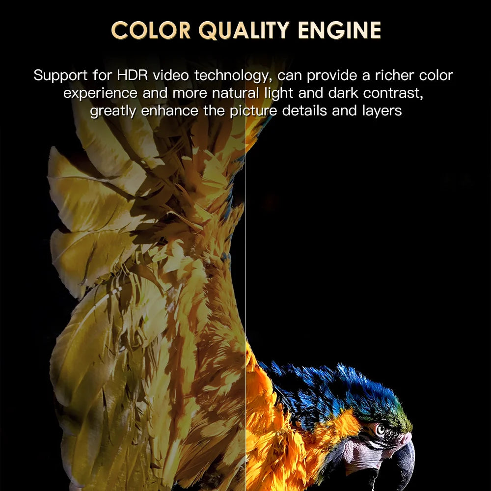 H20PRO Android TV Box Android 10.0 2GB 16GB 2.4&5G WIFI 4K Media Player TV Box Android Play Store Very Fast 1080P Set Top Box